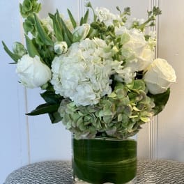 MAGIC OF WHITES