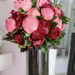PEONY BLOOMS