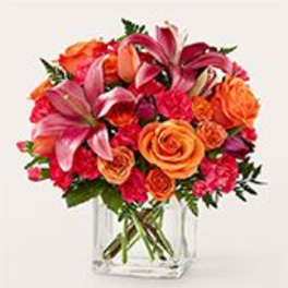 Lucky Lily