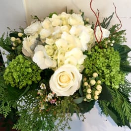 White Simplicity