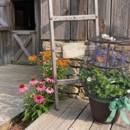 Butterfly Garden Bouquet - Designer's Choice