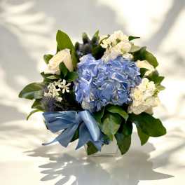 Thinking of Blue