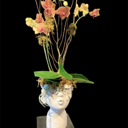 Love on the Brain/Orchid Plant