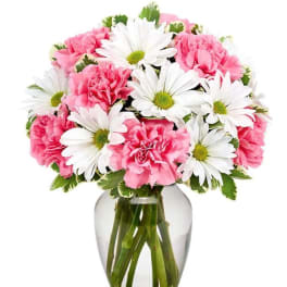 Delightfully Pink Daisy