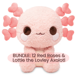 Bundle | Classic Dozen Long-stem Red Roses w/ Lottie the Lovley Axolotl
