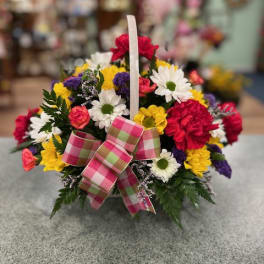 Basket of mixed daisies and carnations with a plaid bow