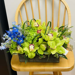 Green orchids and blue flowers in a rectangular wooden container
