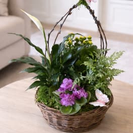 Euro Garden