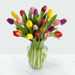 Bouquet of multicolored tulips in a clear glass vase