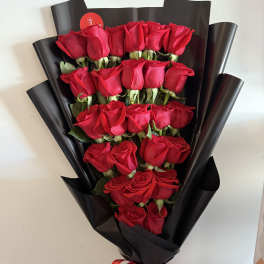 Elegant Roses