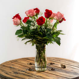 Lovely Dozen Roses Pink and Red