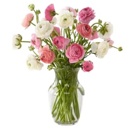 Is that a "ra-donk-ulous" vase of Ranunculus?