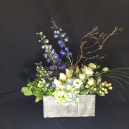 Garden in a box