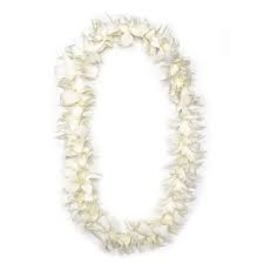 White floral lei garland on a plain background
