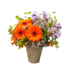 Nouremberg Gardens Bounty Bouquet