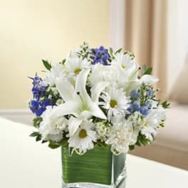 In my Thoughts - Blue and White