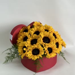 Sunny Sunflowers