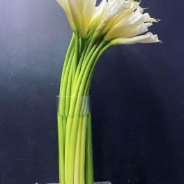 White calla lilies in a clear glass vase