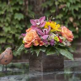 Mixed bouquet in a rustic wooden box with a small decorative bird beside it.