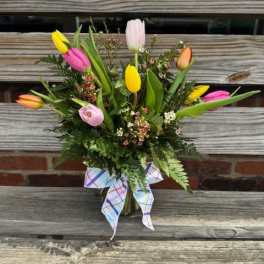 Tulip Love
