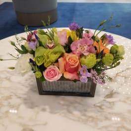 Garden Box 2