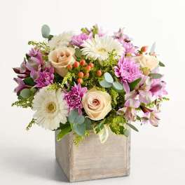 Pastel Garden