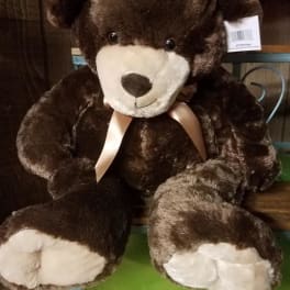 Bear