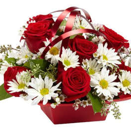 Roses and Daisies Gathering