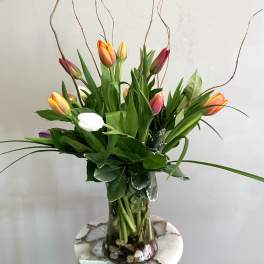 Tulips in Pebble Creek
