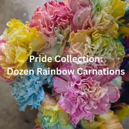 Pride Collection: Dozen Rainbow Carnations
