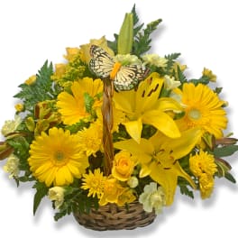 Basket Full of Wishes