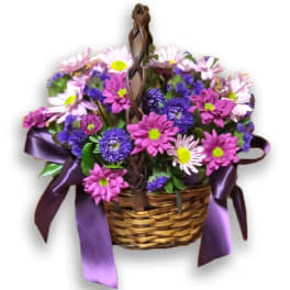Daisy Daydreams by Teleflora