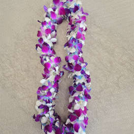 Graduation Double Orchid Lei