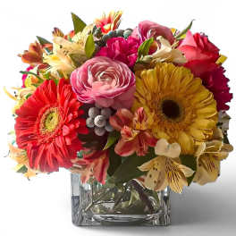 Peach Blossoms Beauty Designer's Choice