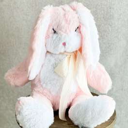 18" Pink Plush
