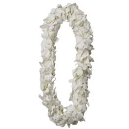 Orchid Lei Double White