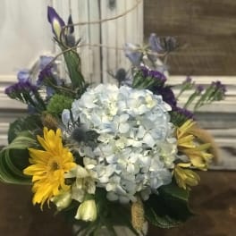 Blooming blue