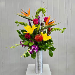 Bougie Tropics