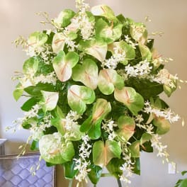 #95 Anthurium Elegance