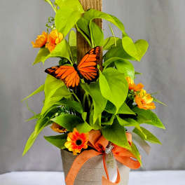 Golden Pothos Totem Pole - 6" Planter