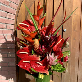 #166 tropical paradise
