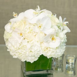 Pearl Elegance