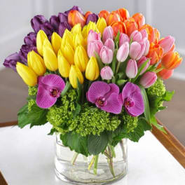 Ravishing Reds by BloomNation™