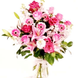 Pink Harmony