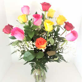 Rainbow Roses