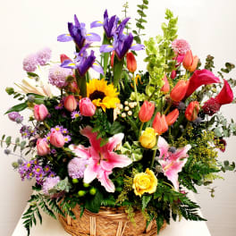 Basket Full of Dreams