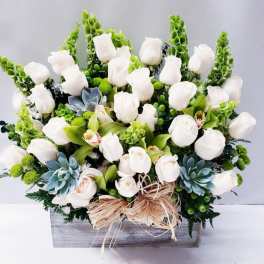 Classic White