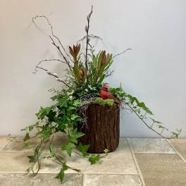 Timber and Twig