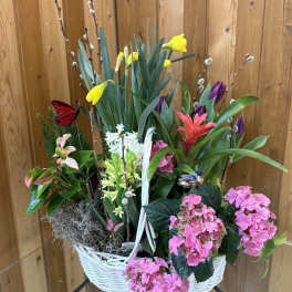 Blooming Spring Garden
