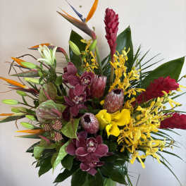 Pink Ice Proteas Perfection